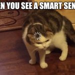 Cat loading | WHEN YOU SEE A SMART SENSOR | image tagged in cat loading,mbti | made w/ Imgflip meme maker