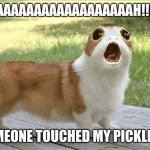 Porgy | AAAAAAAAAAAAAAAAAAAAAH!!!!!!!!! SOMEONE TOUCHED MY PICKLES!!! | image tagged in porgy | made w/ Imgflip meme maker