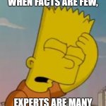 Bartm Facepalm | WHEN FACTS ARE FEW, EXPERTS ARE MANY | image tagged in bartm facepalm | made w/ Imgflip meme maker
