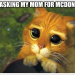 Shrek Cat | ME ASKING MY MOM FOR MCDONALS | image tagged in memes,shrek cat | made w/ Imgflip meme maker