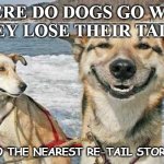 Daily Bad Dad Joke Dec 10 2020 | WHERE DO DOGS GO WHEN THEY LOSE THEIR TAILS? TO THE NEAREST RE-TAIL STORE. | image tagged in memes,original stoner dog | made w/ Imgflip meme maker