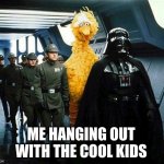 ME AND THE COOL KIDS | ME HANGING OUT WITH THE COOL KIDS | image tagged in vader big bird,big bird,darth vader,star wars,memes,funny memes | made w/ Imgflip meme maker