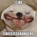 Ugly dog | I LIKE; CHEEEEESEBURGERS | image tagged in ugly dog | made w/ Imgflip meme maker