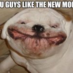 Ugly dog | YOU GUYS LIKE THE NEW MOMO | image tagged in ugly dog | made w/ Imgflip meme maker