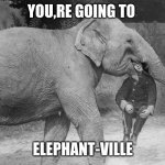 you,re going to  elephant-ville | YOU,RE GOING TO; ELEPHANT-VILLE | image tagged in you re going to elephant-ville | made w/ Imgflip meme maker