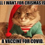 all I want for cristmas is a vaccinnnnnnne *sung to the tune of all i want for crismas is you | ALL I WANT FOR CRISMAS IS... A VACCINE FOR COVID. | image tagged in all i want for christmas | made w/ Imgflip meme maker
