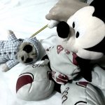 Mickey Stabbing Meerkat
