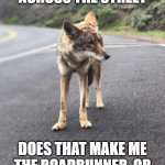 Road Coyote | IF I RUN ACROSS THE STREET; DOES THAT MAKE ME THE ROADRUNNER, OR AM I STILL THE COYOTE? | image tagged in road coyote | made w/ Imgflip meme maker