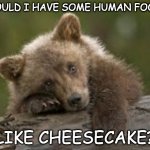 Woke up from hibernating to ask . . . | COULD I HAVE SOME HUMAN FOOD; LIKE CHEESECAKE? | image tagged in sad bear cub,food,treat,holidays | made w/ Imgflip meme maker