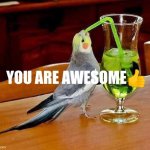 Big Sip | YOU ARE AWESOME? | image tagged in big sip | made w/ Imgflip meme maker