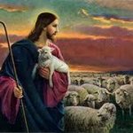 Jesus Christ Sheep Flock