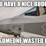 if only someone didn't waste it all | YOU HAVE A NICE BUDGET; BUT SOMEONE WASTED IT ALL | image tagged in f-35 | made w/ Imgflip meme maker