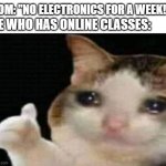 erm.....ok | MOM: "NO ELECTRONICS FOR A WEEK!"; ME WHO HAS ONLINE CLASSES: | image tagged in crying cat thumbs up,funny,memes,online class | made w/ Imgflip meme maker