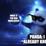 idea panda | WHAT IF YOU HAD SUNGLASSES; PANDA: I ALREADY KNOW | image tagged in idea panda | made w/ Imgflip meme maker