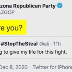 Arizona Republican Party election 2020