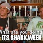 Brenan and Dale are at it again, lol | ITS SHARK WEEK | image tagged in funny,memes | made w/ Imgflip meme maker