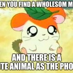 So kawaii | WHEN YOU FIND A WHOLESOM MEME AND THERE IS A CUTE ANIMAL AS THE PHOTO | image tagged in memes,hamtaro | made w/ Imgflip meme maker