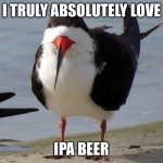 Even Less Popular Opinion Bird | I TRULY ABSOLUTELY LOVE; IPA BEER | image tagged in even less popular opinion bird | made w/ Imgflip meme maker