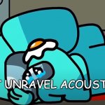 what | INSERT UNRAVEL ACOUSTIC HERE | image tagged in crying mini crewmate | made w/ Imgflip meme maker
