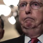 Mitch McConnell Tickled Bootyhole