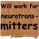 Will work for neurotransmitters | Will work for; neurotrans-; mitters | image tagged in homeless cardboard | made w/ Imgflip meme maker