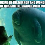 Overlord Manatee | ME LOOKING IN THE MIRROR AND WONDERING IF ALL THE QUARANTINE SNACKS WERE WORTH IT | image tagged in overlord manatee | made w/ Imgflip meme maker