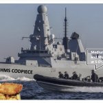 HMS Codpiece