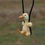 Crying duck
