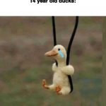 Crying duck | (q)uack q(u)ack qu(a)ck qua(c)k quac(k)
14 year old ducks: | image tagged in crying duck | made w/ Imgflip meme maker