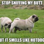 Pug Sniffing Pug's Butt | STOP SNIFFING MY BUTT; BUT IT SMELLS LIKE HOTDOGS | image tagged in pug sniffing pug's butt | made w/ Imgflip meme maker