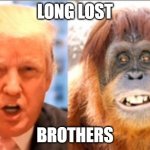 Twins 2 | LONG LOST; BROTHERS | image tagged in donald trump is an orangutan | made w/ Imgflip meme maker
