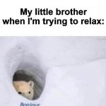 Like seriously stop | My little brother when I'm trying to relax: | image tagged in bonjour | made w/ Imgflip meme maker
