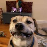 Buster's gotta smile! | I JUST LIKE TO SMILE; SMILING'S MY FAVORITE! | image tagged in buster's gotta smile | made w/ Imgflip meme maker