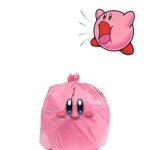 Kirby trash meme