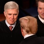 Trump Record Number Judges Appoint Same Judges Throwing Out Case