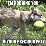 All Clan Cats | I'M ROBBING YOU; OF YOUR PRECIOUS PREY | image tagged in waterwolf,warrior cats | made w/ Imgflip meme maker