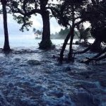 Rising Sea Levels