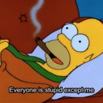 Homer Simpson every one is stupid but me