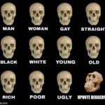 Different Type of Skulls | UPVOTE BEGGERS | image tagged in different type of skulls | made w/ Imgflip meme maker