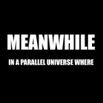 Meanwhile in a parallel universe meme