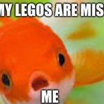 sad fish | ALL MY LEGOS ARE MISSING; ME | image tagged in sad fish | made w/ Imgflip meme maker