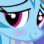 Blushed Rainbow Dash (MLP)