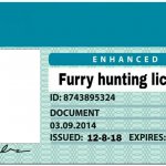 furry hunting license meme