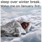 How I sleep knowing | How teachers will sleep over winter break. Wake me on January 3rd. | image tagged in how i sleep knowing | made w/ Imgflip meme maker