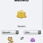 Meowto