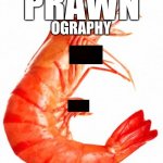 PRAWN-OGRAPHY | PRAWN; OGRAPHY | image tagged in inspiration prawn | made w/ Imgflip meme maker