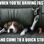 To Fast | WHEN YOU'RE DRIVING FAST; AND COME TO A QUICK STOP | image tagged in doggo in a car | made w/ Imgflip meme maker