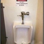 The "DANGER" Urinal | DO NOT WASH CHIHUAHUAS IN HERE. | image tagged in the danger urinal,chihuahuas | made w/ Imgflip meme maker