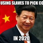 Xi Jinping | STILL USING SLAVES TO PICK COTTON; IN 2020 | image tagged in xi jinping | made w/ Imgflip meme maker