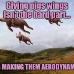 Pigs Fly | Giving pigs wings isn't the hard part... IT'S MAKING THEM AERODYNAMIC. | image tagged in pigs fly | made w/ Imgflip meme maker